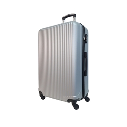 Maleta EXE Grande 75x44x29cms Ligera Barata Material ABS color Gris Plata - Imagen 2